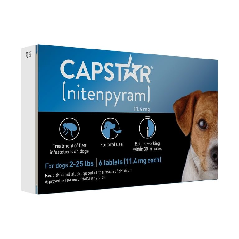 Dog flea medication walmart top
