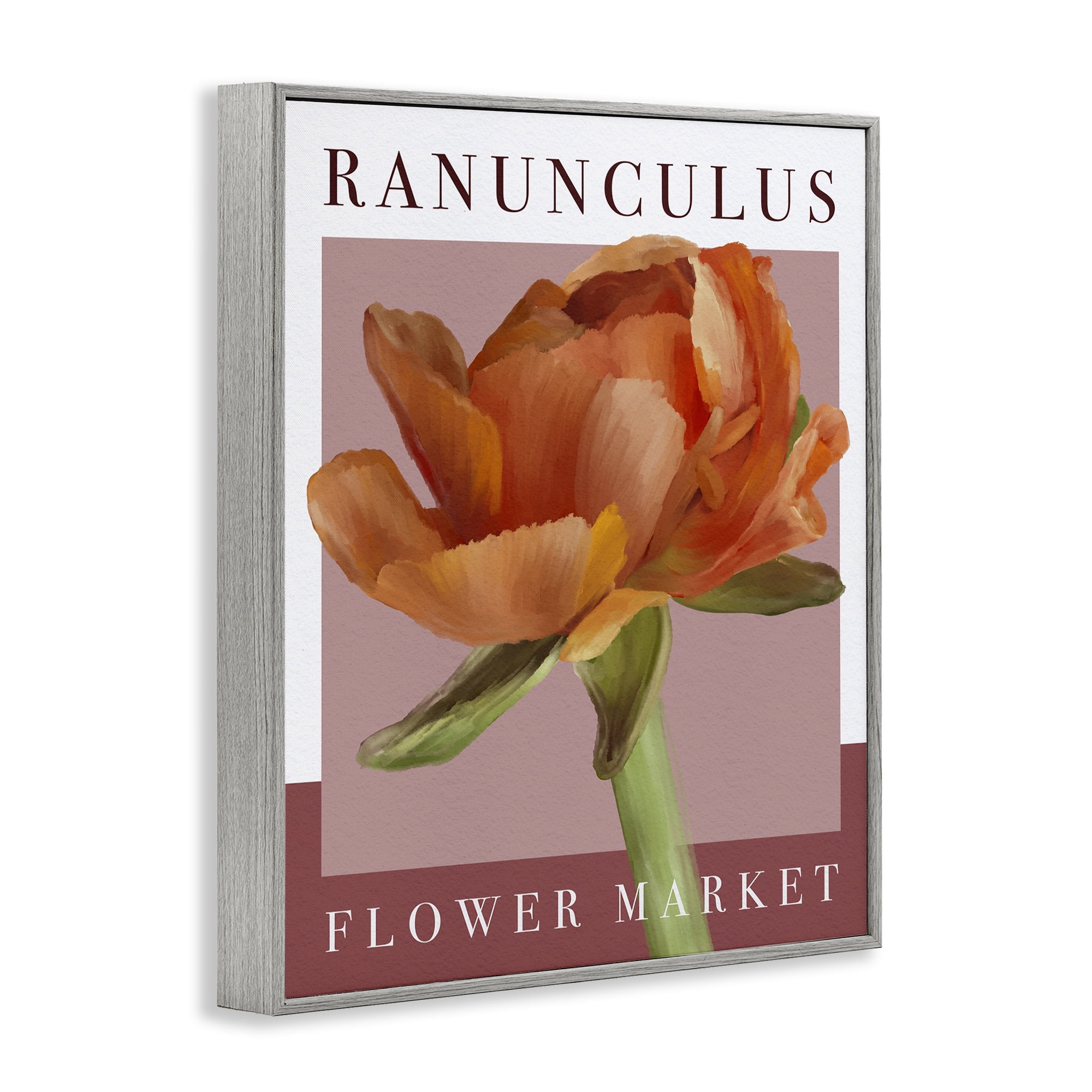 Stupell Industries Ranunculus Flower Market Gray Framed Giclee Art, design by Jennifer Stith