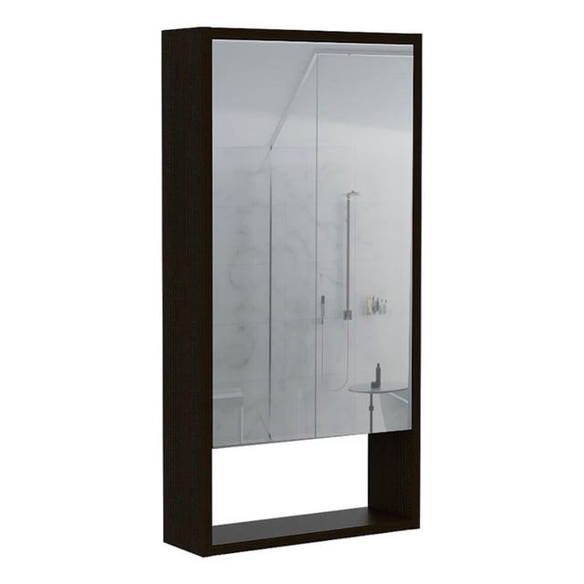 FM FURNITURE Modesto Engineered Wood Medicine Cabinet with Mirror in Black