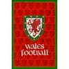 Wales Football Retro National Team Soccer Sports Poster 12x18 inch