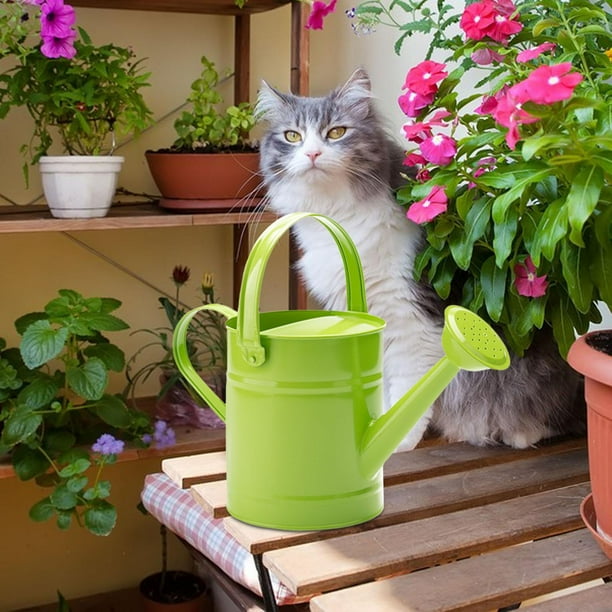 Regadera de jardín, bote de agua para jardín, oficina, casa, plantas bonsái Verde