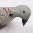 thumbnail image 6 of 3D Pigeon Archery Arrow Target for Animal Practice Recurve Crossbow Hunting Game, 6 of 8