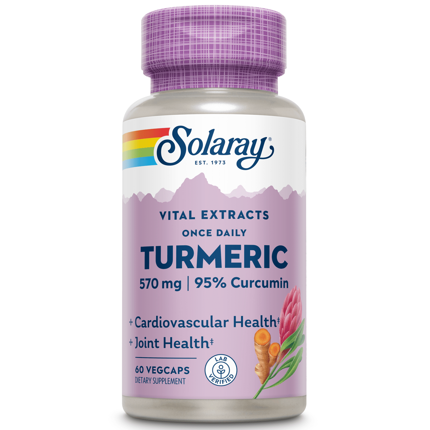 Solaray Turmeric Root Extract 600mg | One Daily | Healthy Joints, Cardiovascular System Support | Guaranteed Potency | 60 VegCaps