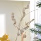 thumbnail image 5 of Ejemplo de Árbol de Navidad Collar de Árbol Adornos de Navidad, Skirt de Árbol de Navidad Adornos para Mesa, Collar de Árbol de Navidad para Fiesta de Navidad, Collar de Árbol de Navidad, 5 of 9