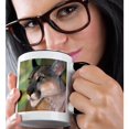 thumbnail image 2 of 3drose, California, Mountain Lion, Wildlife Waystation - Us05 Bja0224 - Jaynes Gallery, 15oz Two-tone Black Mug, 2 of 6