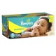 thumbnail image 1 of Pañales Pampers Swaddlers Talla 3, Paquete de 88, 1 of 5