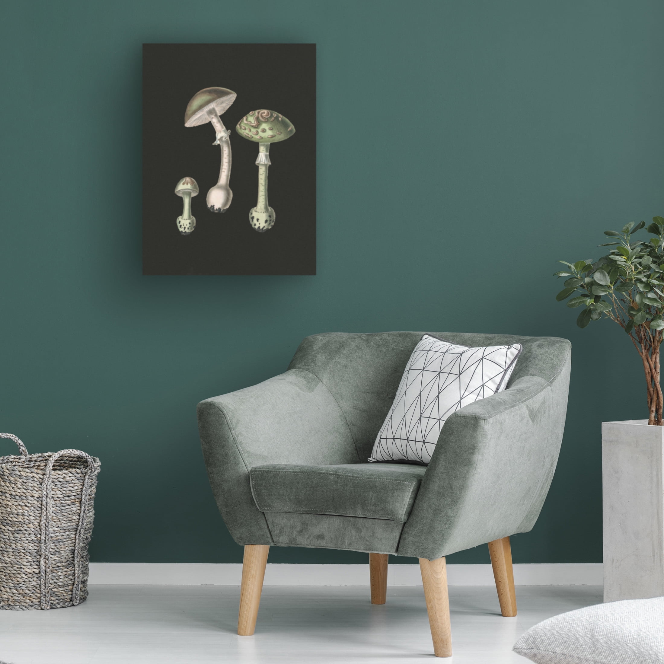 Trademark Fine Art Pictufy   Amanita Muscaria Dark Background Canvas Wall Art