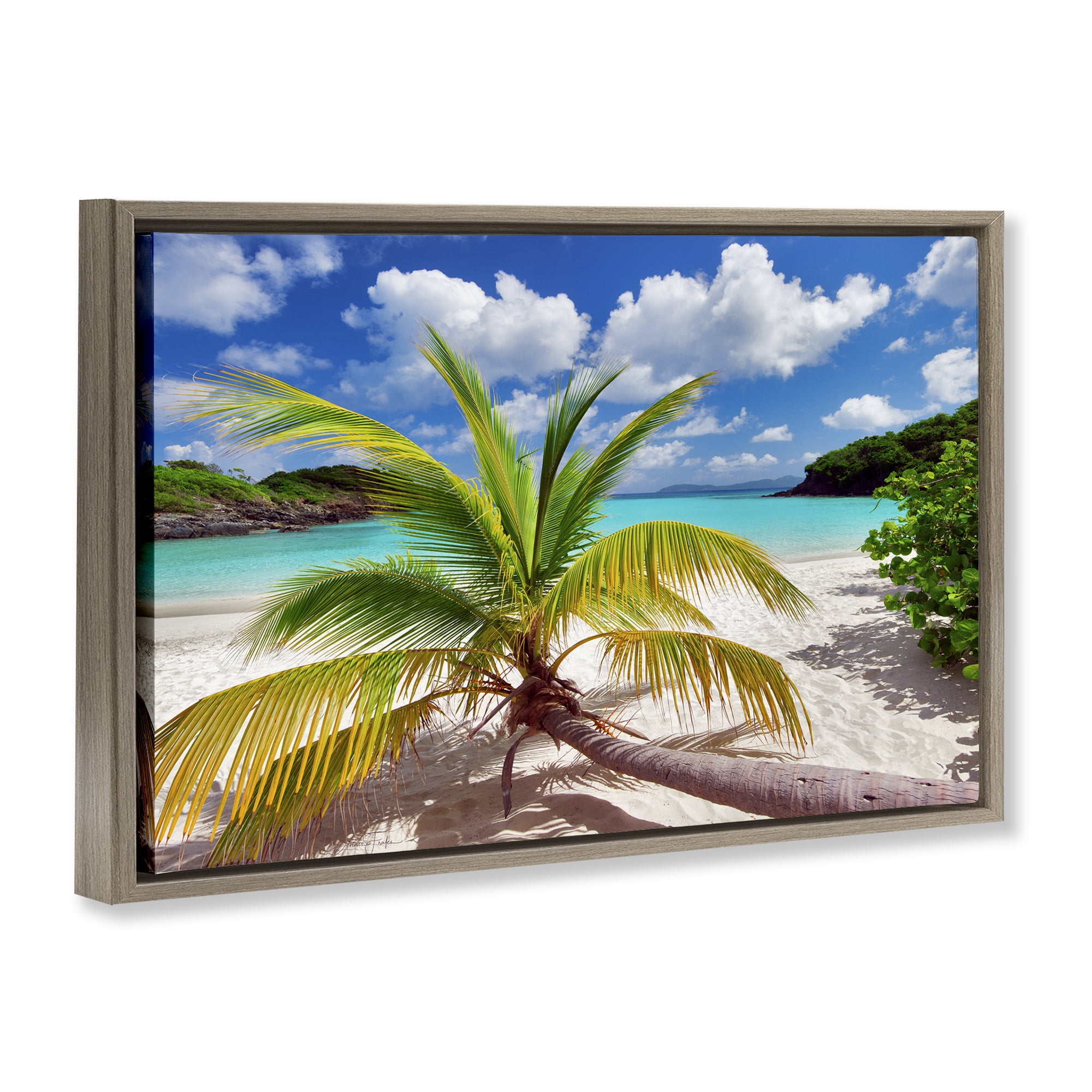 Stupell Industries Palm Tree Across Beach Coastal Photography Brown Floater Framed Canvas Art Print Wall Art, 31 x 21