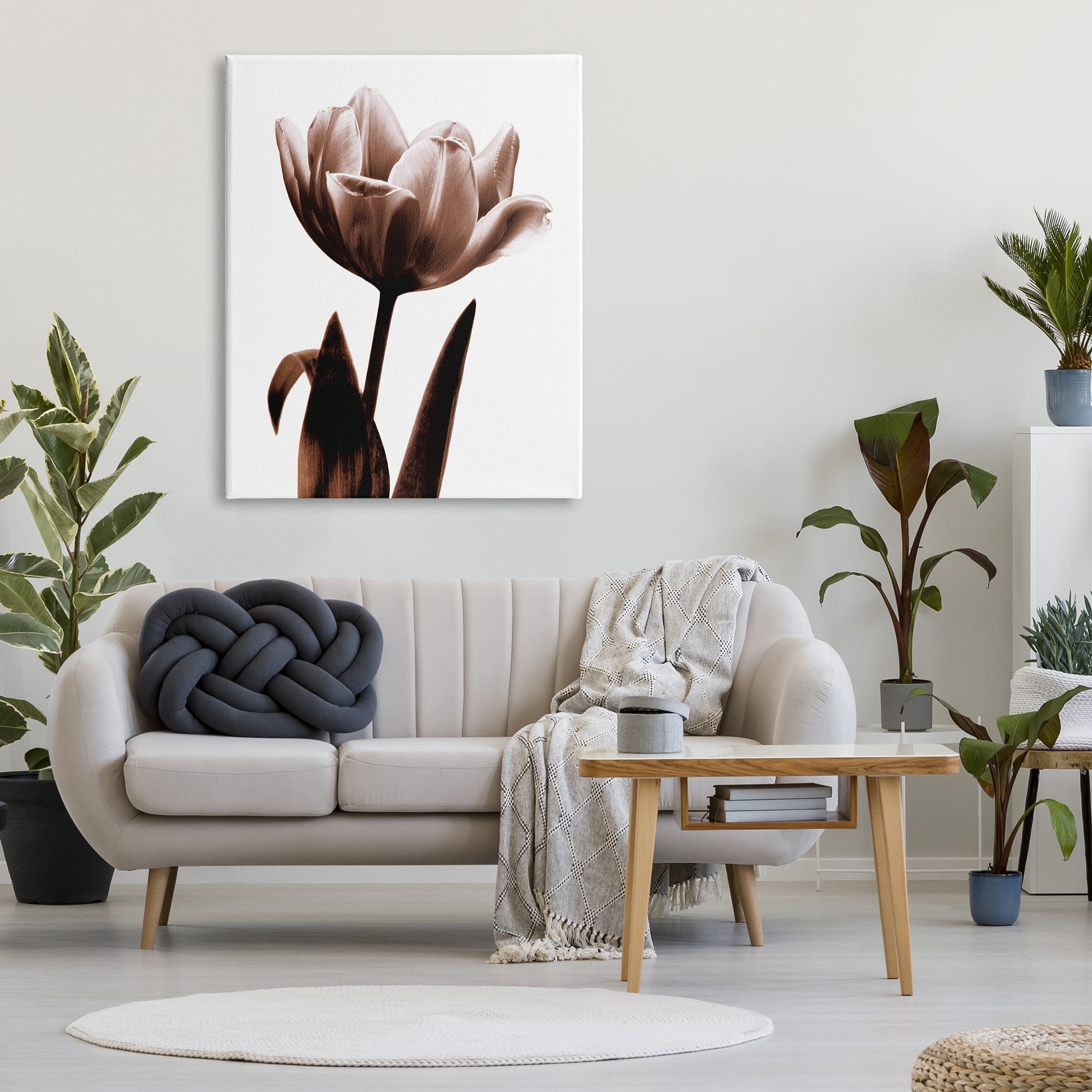 Stupell Industries Modern Tulip on White Botanical & Floral Photography Gallery Wrapped Canvas Print Wall Art, 36 x 48