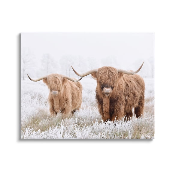 Stupell Industries Longhorn Cows in Snow Animals & Insects Photography Gallery Wrapped Canvas Art Print Wall Art, 20 x 16