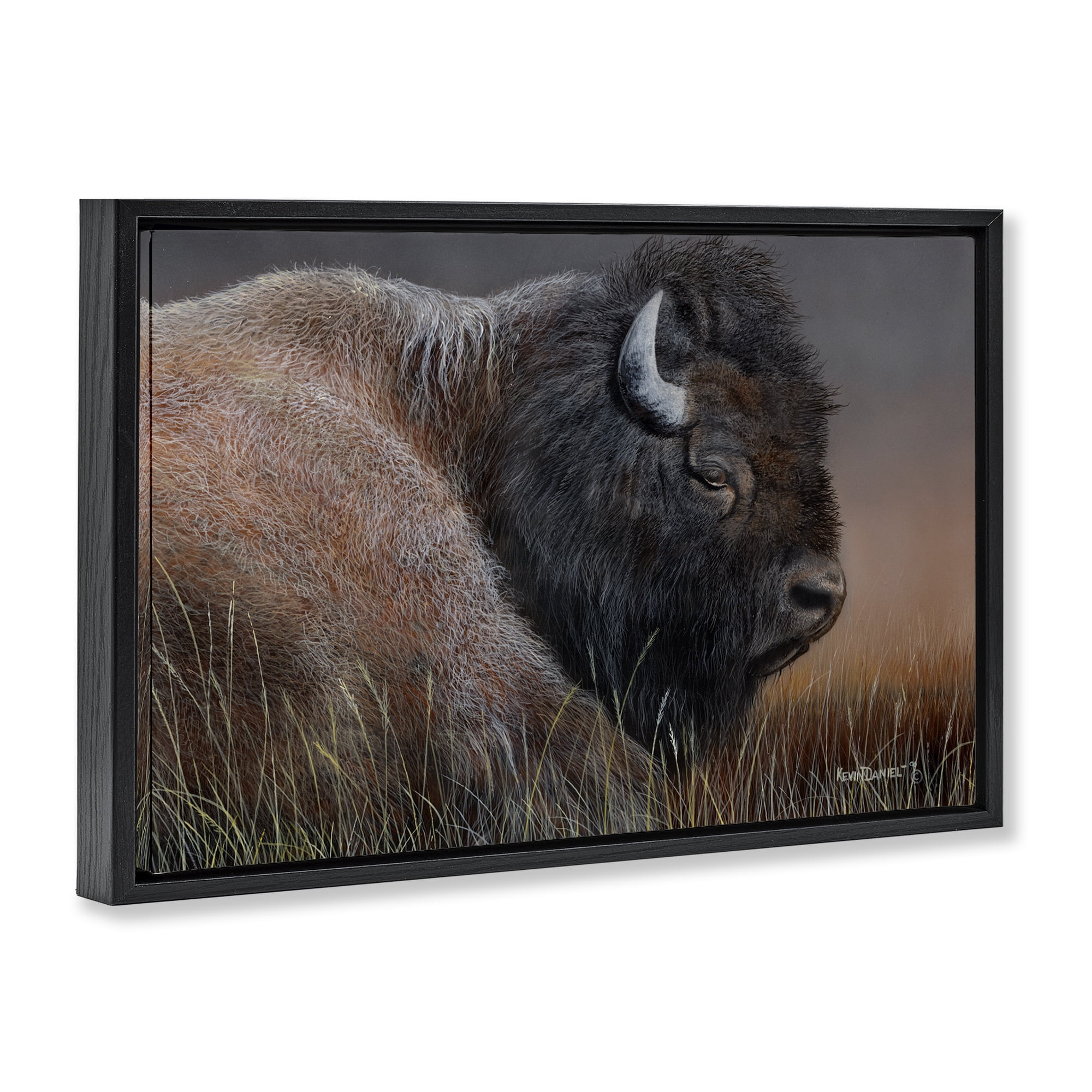 Stupell Industries Detailed Bison Close Up Animals Painting Black Floater Framed Canvas Art Print Wall Art, 31 x 21