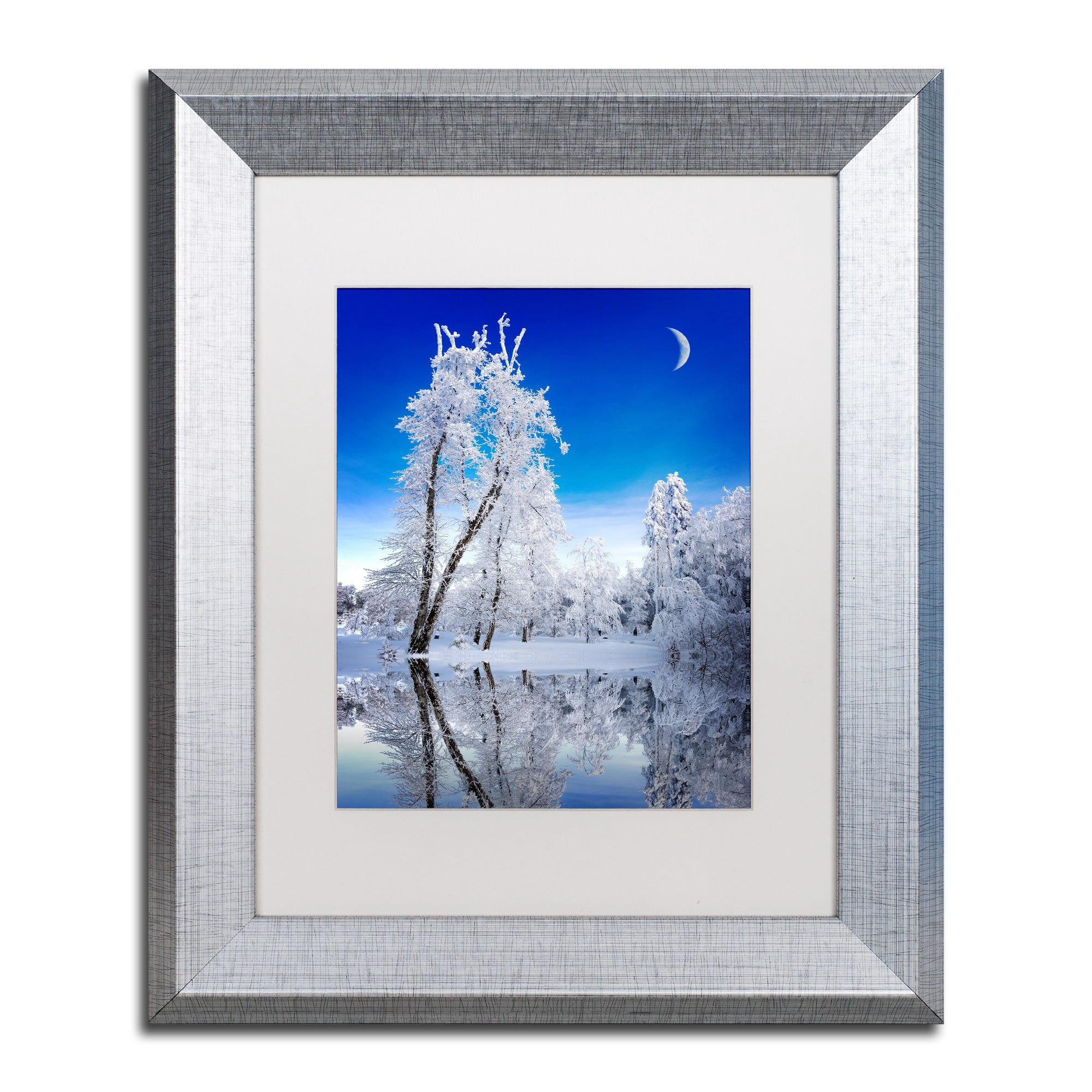 Trademark Fine Art "Emotive Ballad Canvas Art" Canvas Art by Philippe Sainte-Laudy, White Matte, Silver Frame