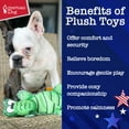 thumbnail image 4 of American Dog Allie Gator – Durable Plush Dog Toy that Crinkles and is Made in USA from Pet-Safe, Machine-Washable Soft Minky Fleece Material with High Resistance to Wear, Tear, and Shrinkage, 4 of 6