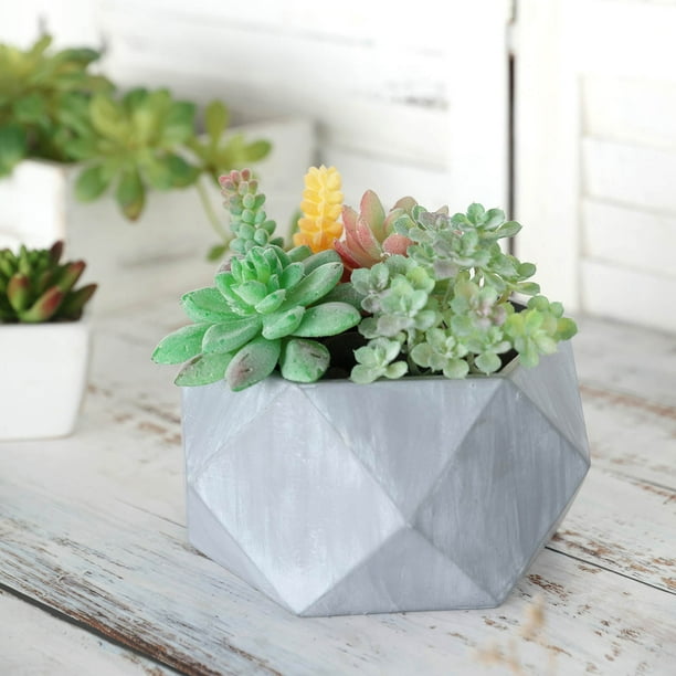 Efavormart 7" Small Gray Cement Succulent Planter Mini Modern Concrete ...