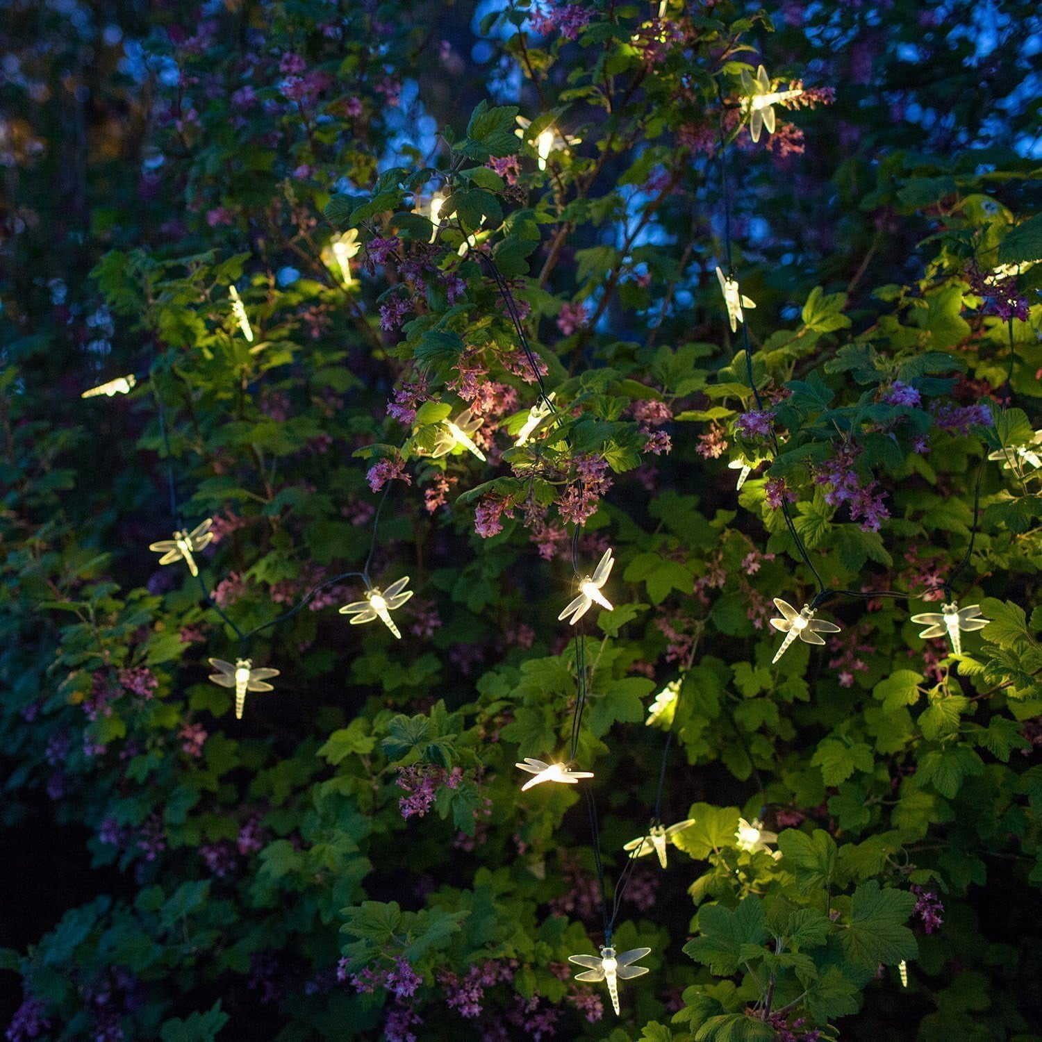 Dragonfly Solar String Lights Outdoor, 20ft 30 LED Waterproof Fairy Lights Decorative Lighting for Indoor/Outdoor Home Garden Lawn Fence Patio Party and Holiday Decorations