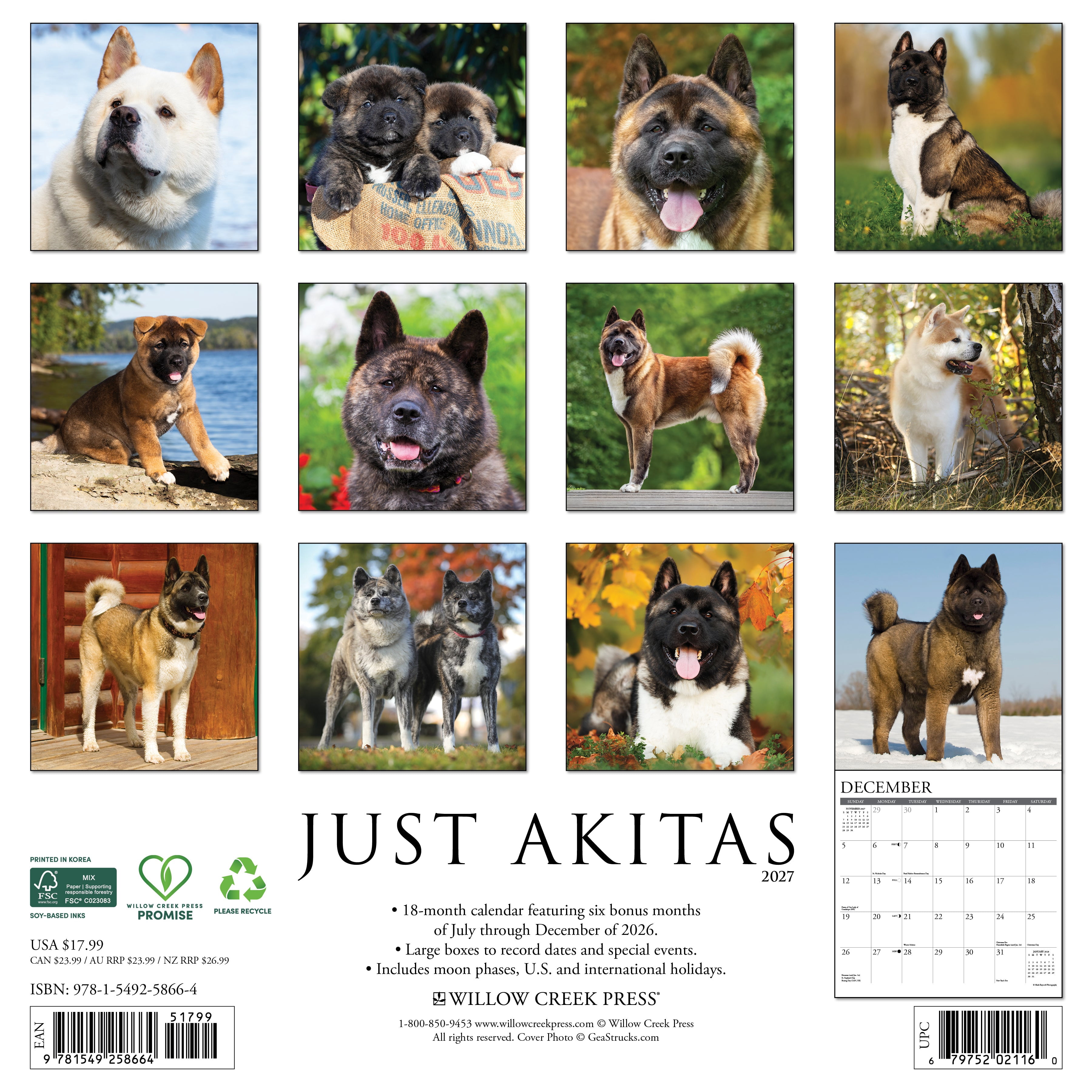 Willow Creek Press, Akitas 2027 Wall Calendar