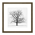 thumbnail image 1 of Lone Tree Winter Frost Snow Black White Photo 8X8 Inch Square Wooden Framed Wall Art Print Picture with Mount, 1 of 4