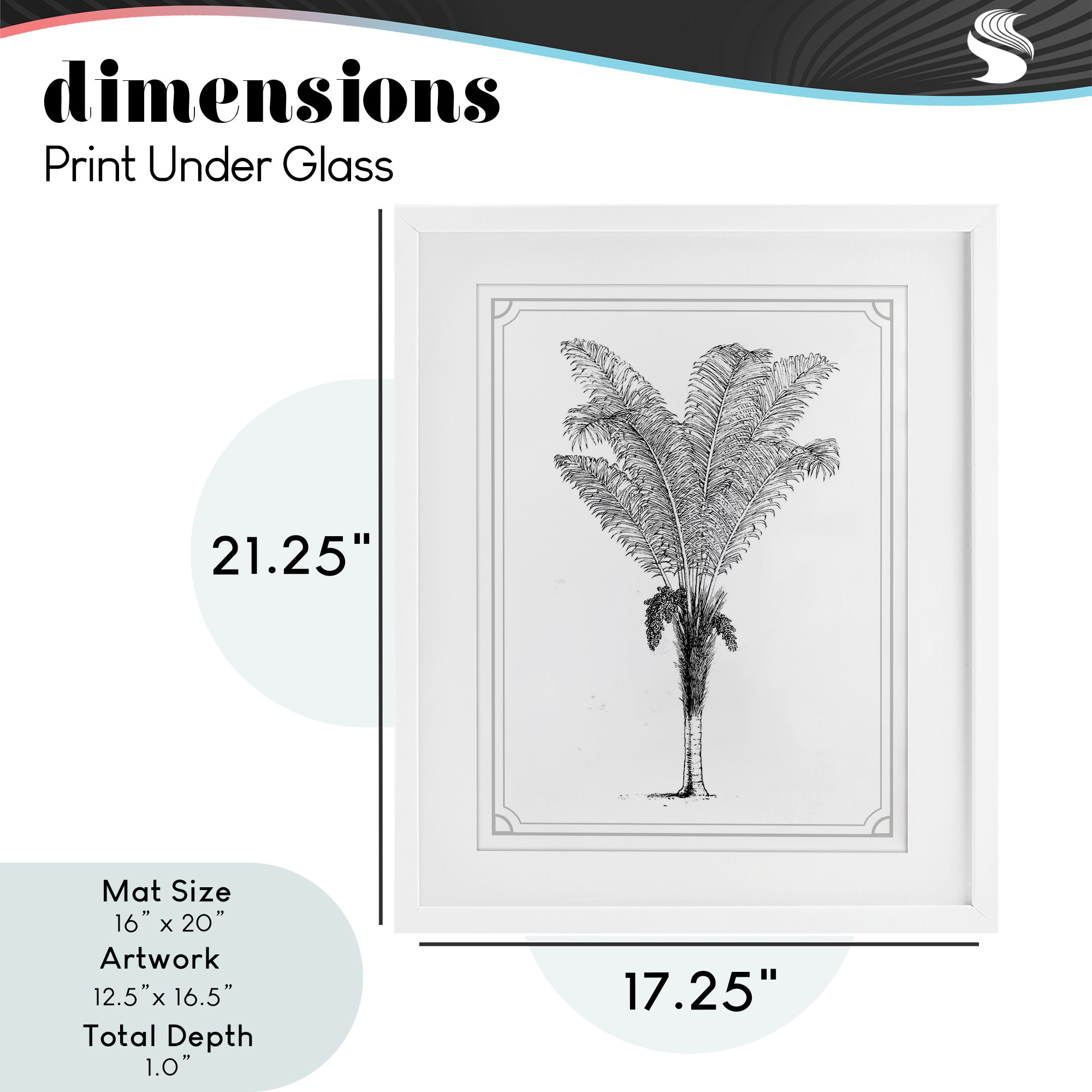 Vintage & Minimal Palm White Framed Print Under Glass, design by Lettered and Lined