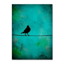 Trademark Fine Art "Bird's Attention" Canvas Art by Nicole Dietz