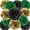 Black Green and Gold, variant on Tissue Paper Pom Poms Yellow Orange and Red 12 Inch 12 Pack Party Decoration