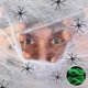 thumbnail image 3 of Telaraña Artificial de 20/40/60/100/120/200/300g que brilla en la oscuridad, telaraña luminosa Horrible con arañas para Halloween, 3 of 5