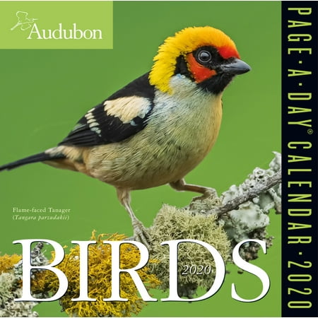 audubon birds page a day calendar 2020 walmart com walmart audubon
