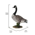 thumbnail image 4 of Hi-Line Gifts 19.75" Standing Canada Goose Outdoor Garden Statue, 4 of 4