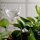thumbnail image 3 of Sistema de riego automático por goteo para plantas riego automático con, 3 of 8