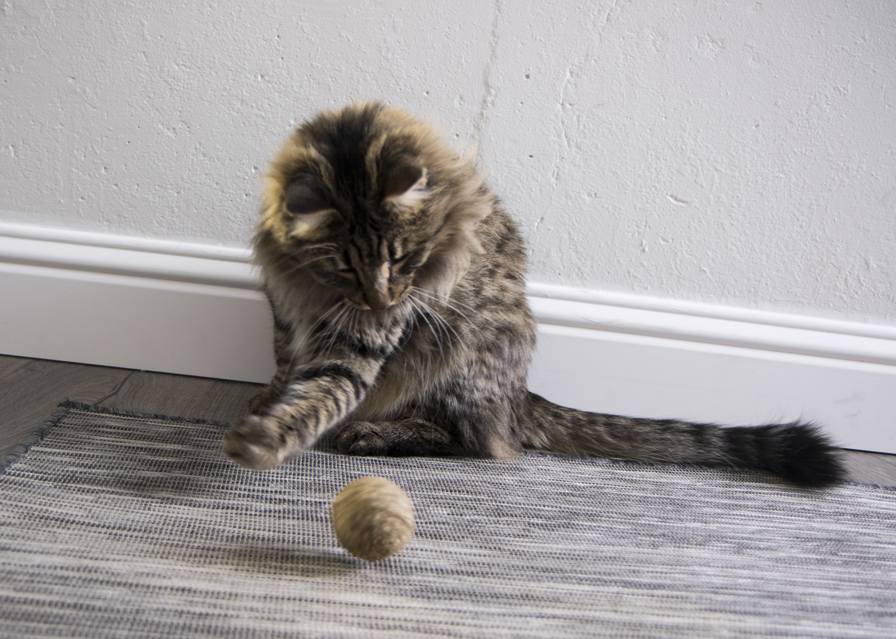 SmartyKat Catnip Kiss Compressed Catnip Ball Cat Toy - image 4 of 6