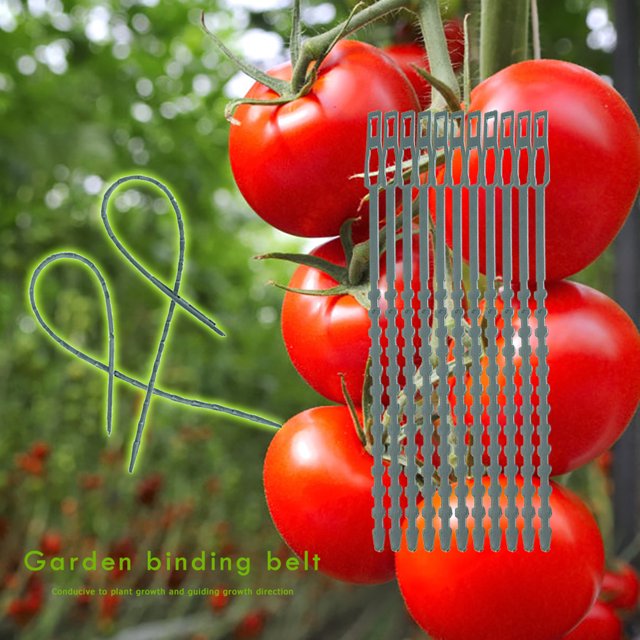 50 Uds. De bridas para cables de jardín, bridas de plástico reutilizables para soporte de escalada de plantas B Sywqhk Libre de BPA
