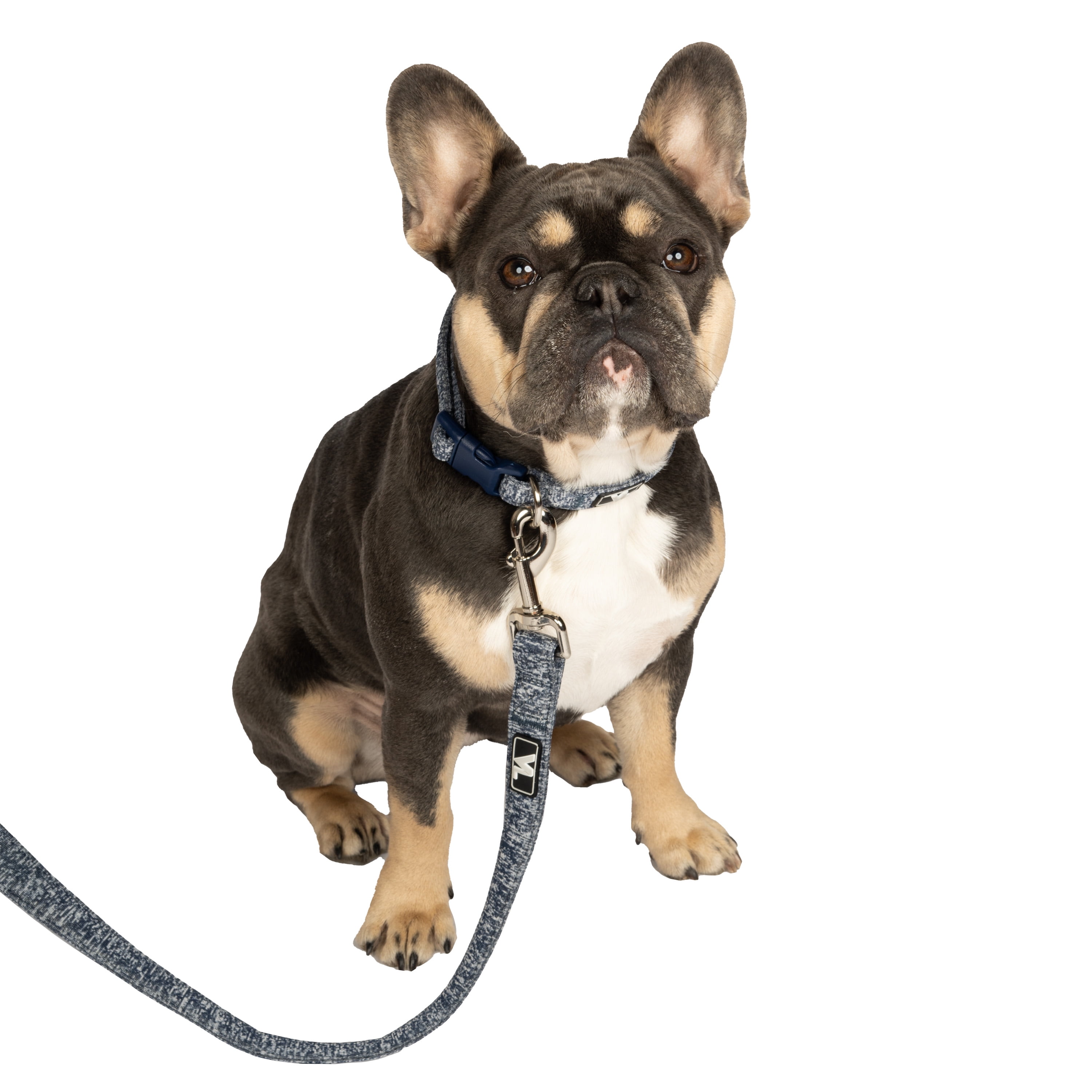 Vibrant Life 6 ft Space Dye Standard Dog Leash, Blue