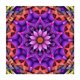thumbnail image 3 of Taladro Completo DIY 5D Flor Diamante Pintura Imagen Kit de Manualidades Decoración 25x25cm Púrpura, 3 of 9