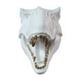 thumbnail image 2 of Hi-Line Gift Ltd 75642-C-WT Dinosaur Head Sculpture White Color Wall Mounted Ornament, 2 of 5