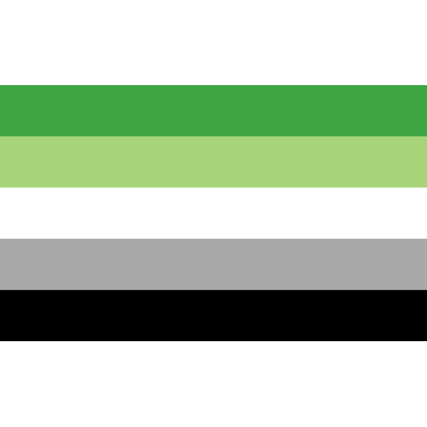 Aromantic Pride Flag 3 X 5 Walmart Com