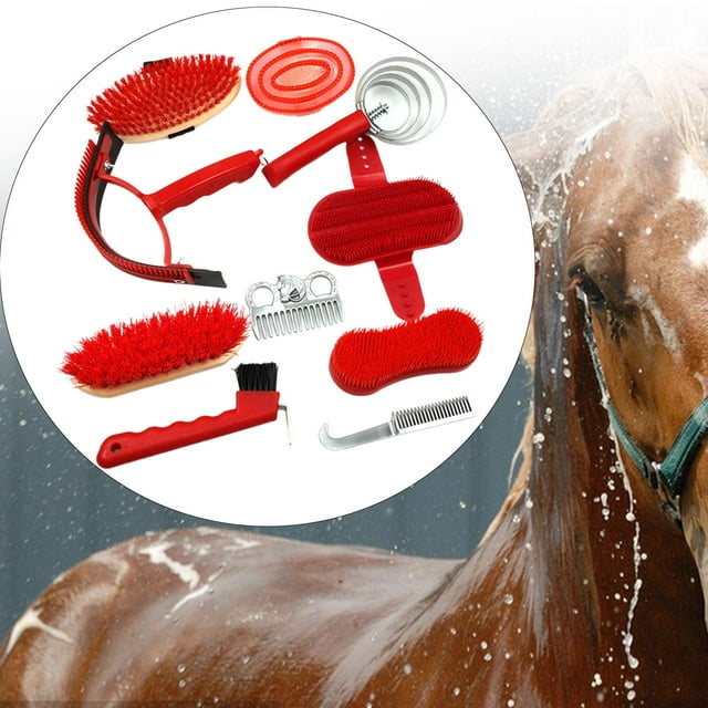 Kit De 10 Piezas Para El Cuidado De Caballos, Suministros Para El Cuarto De Aparejos Para Jinetes Y Propietarios De Caballos