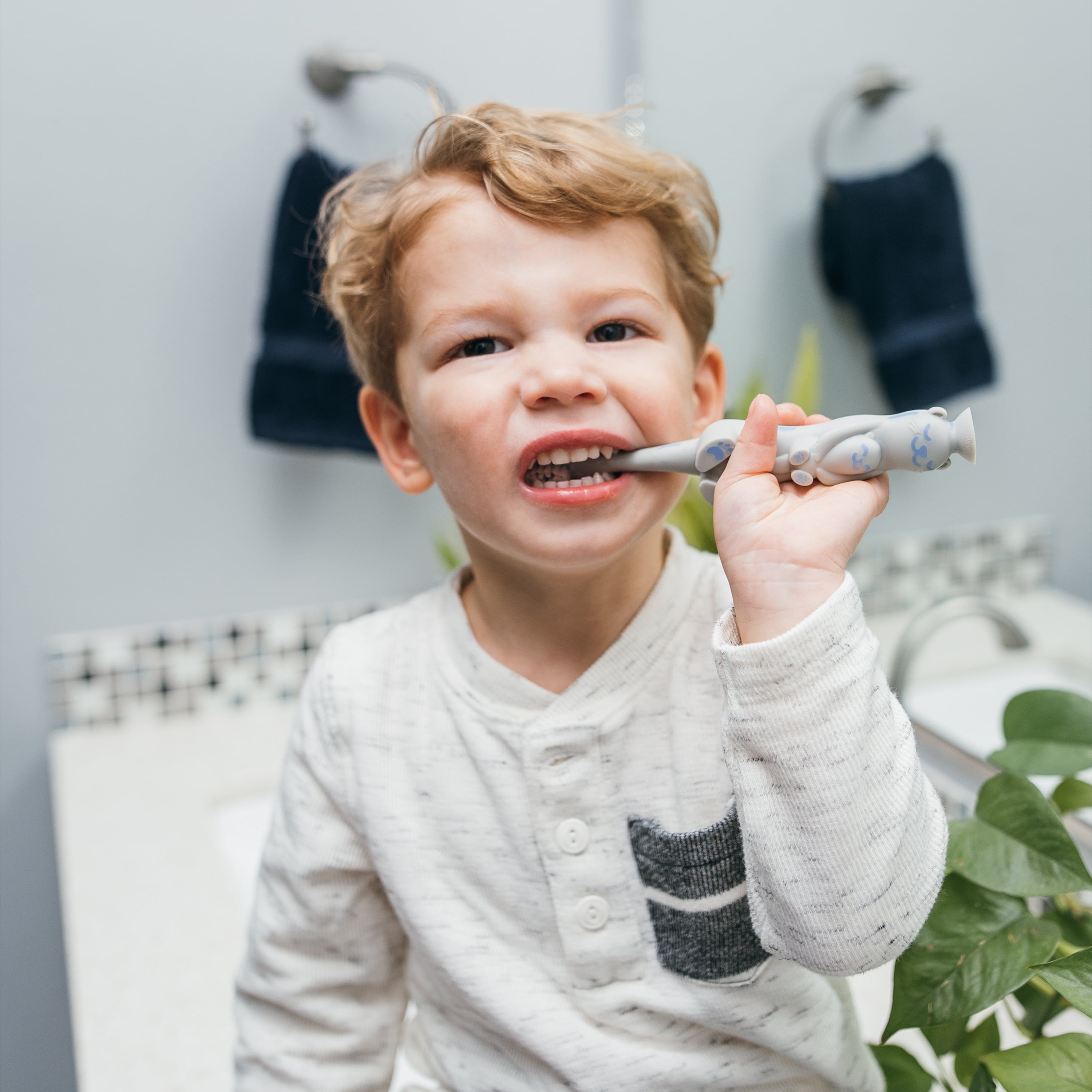Dr. Brown's Baby & Toddler Training Toothbrush with Soft Bristles, Gray Otter, 1-4 Years, 1 Pack