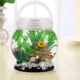 thumbnail image 5 of Acuario LA KEN DU Betta Tetra con iluminación LED 2 litros, 5 of 6