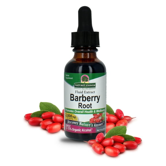 Barberry Root 1oz Low Alcohol