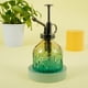 thumbnail image 2 of Botella Pulverizadora Plant Mister de Vidrio Vintage de 200 Ml, 2 of 6