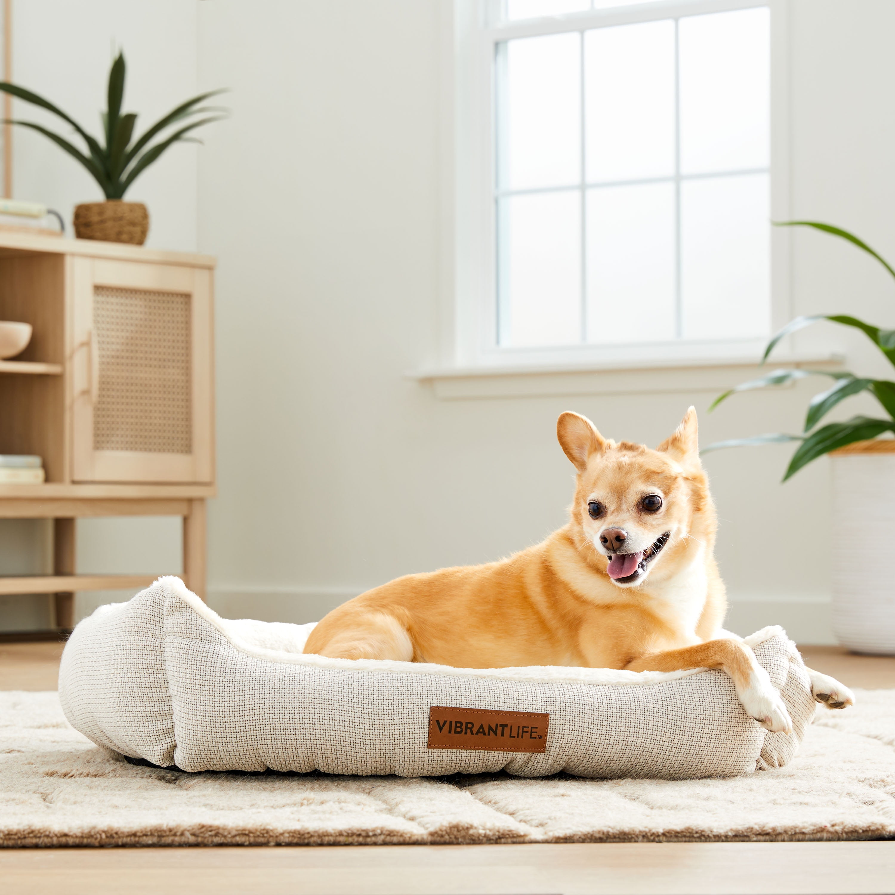Vibrant Life Medium Luxe Cuddler Pet Bed, Cream, 27" x 21"