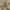 Camel, variant on OVZME Bethany Faux Linen White Curtains 84 Inches Long 2 Panels Set, Solid Soft Airy Light Filtering Slub Textured Farmhouse Window Treatments with Rod Pocket for Living Room Bedroom, 40Wx84L Inch