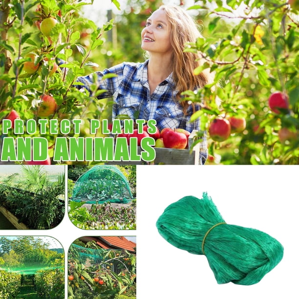 Malla resistente para aves de árboles frutales y jardines - Malla reutilizable de polietileno de 4 m x 10 m para proteger arándanos, fresas de aves y ardillas