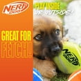 thumbnail image 3 of Nerf Dog Toys Squeaky Tennis Ball Dog Toy, 2 inch, 3 Pack, 3 of 9