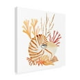 thumbnail image 2 of Annie Warren 'Nautilus Grouping II' Canvas Art, 2 of 3