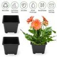 thumbnail image 2 of Innens 10Pcs Plastic Plant Flower Pot Garden Nursery Seedlings Pot Container, Black, 2 of 14
