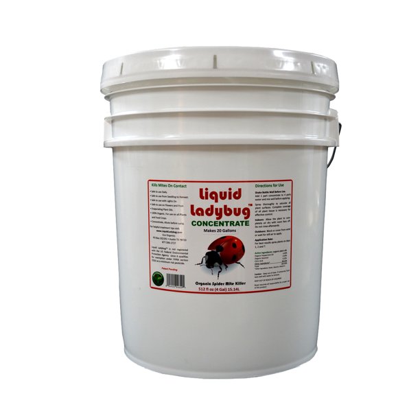 Liquid LadyBug Concentrate 5gal Gallon Lady Bug Organic Spider Mite