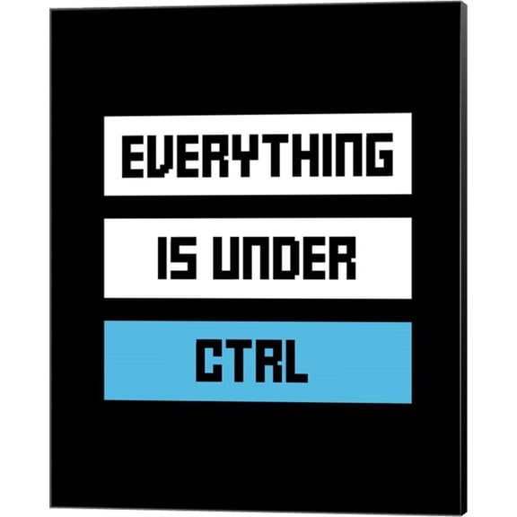 Everything Under Control by Color Me Happy, Canvas Wall Art, 16W x 20H