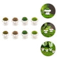thumbnail image 6 of 8pcs Tiny Flowers Miniature Artificial Flower Plants Mini Decorations for Tiny House, 6 of 6