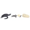 thumbnail image 2 of Toys, Sea Animal Figures Creative Educational   For Science Learning For Educational Projects For Handicraft Decoration For Birthday Gifts 2421,2422,2423,2425, 2 of 8