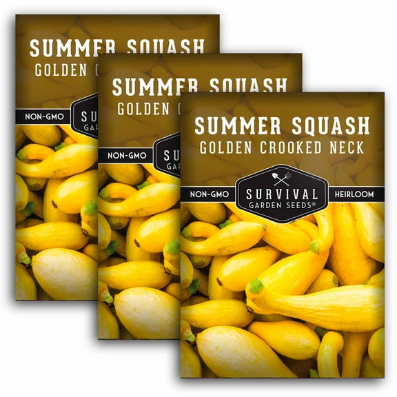3 packs Crookneck Squash Seed - Yellow Crooked Neck Summer Squash - Non-GMO Heirloom Annual Full Sun